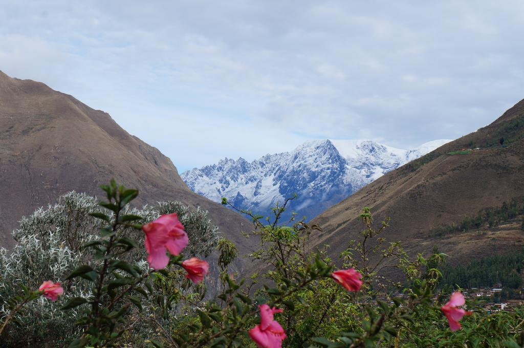 Ccapac Inka Ollanta Casa Museo Ollantaytambo Exterior foto
